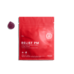 product image for RELIEF PM for Pain [1 gummy per pouch]
