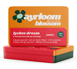 Lychee Dream | Infused 5 Pack Pre-Rolls | 3G