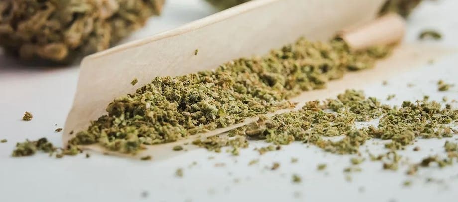 Sour Diesel • Pre-Ground Flower -  | Treehouse Cannabis
