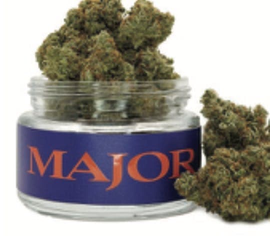 Pinyatti • Flower • 3.5g - Major | Treehouse Cannabis