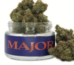 Pinyatti | Flower | 3.5g