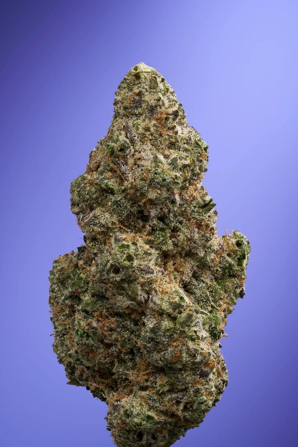 Purple Starfruit Flower 3.5g - Florette