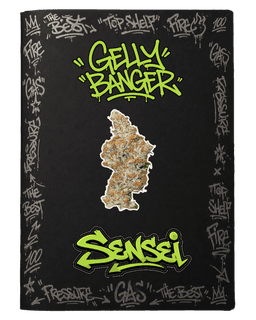Gelly Banger | Flower | 3.5G