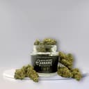 Gary Payton | Flower | 3.5g