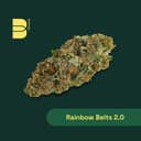 Rainbow Belts 2.0 | The Botanist | Flower | 3.5g