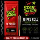 Diesel | Pre- Roll | 1g