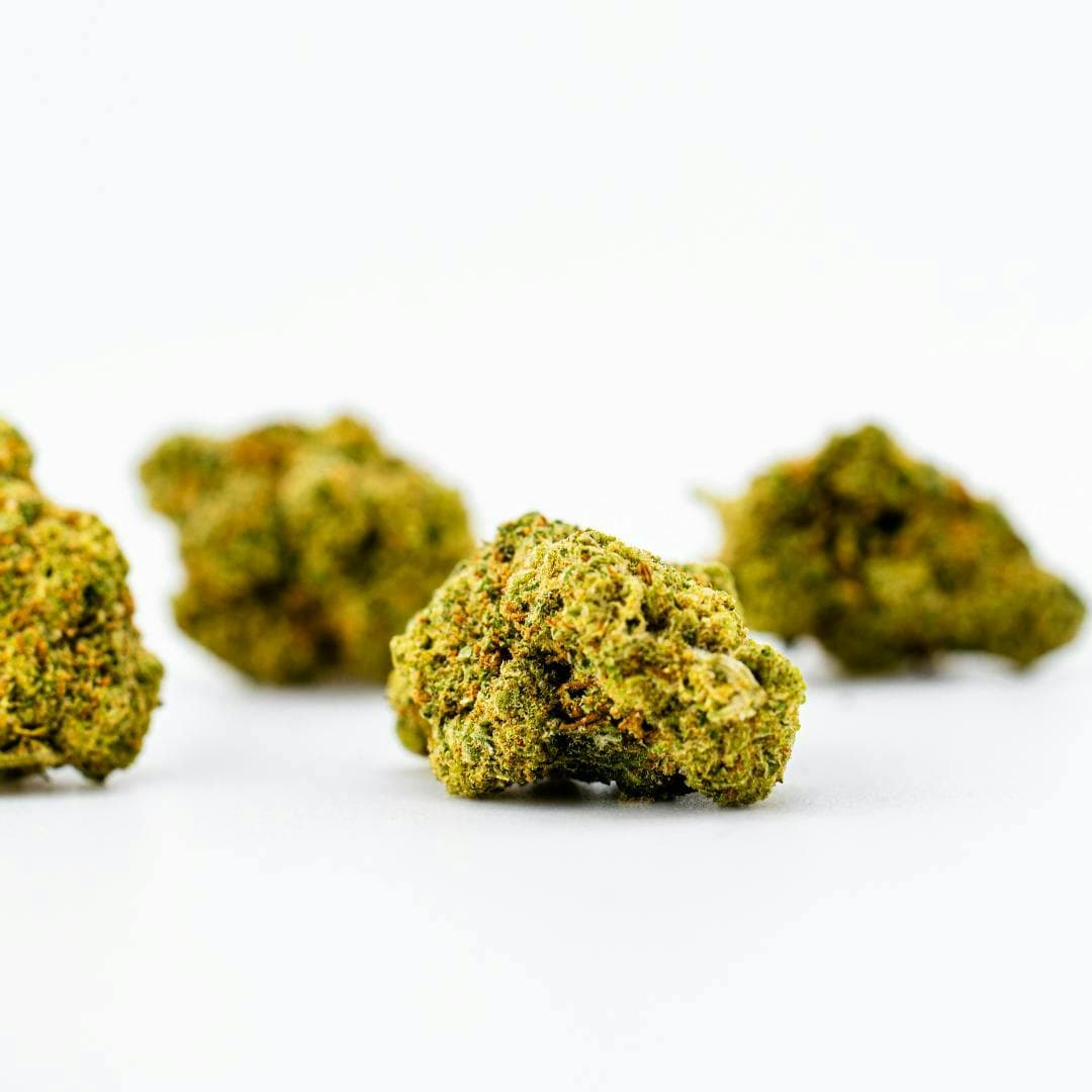 WILD THAI - Dank By Definition. | Treehouse Cannabis