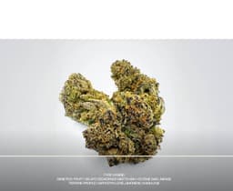 Grape Gas | Flower | 3.5g