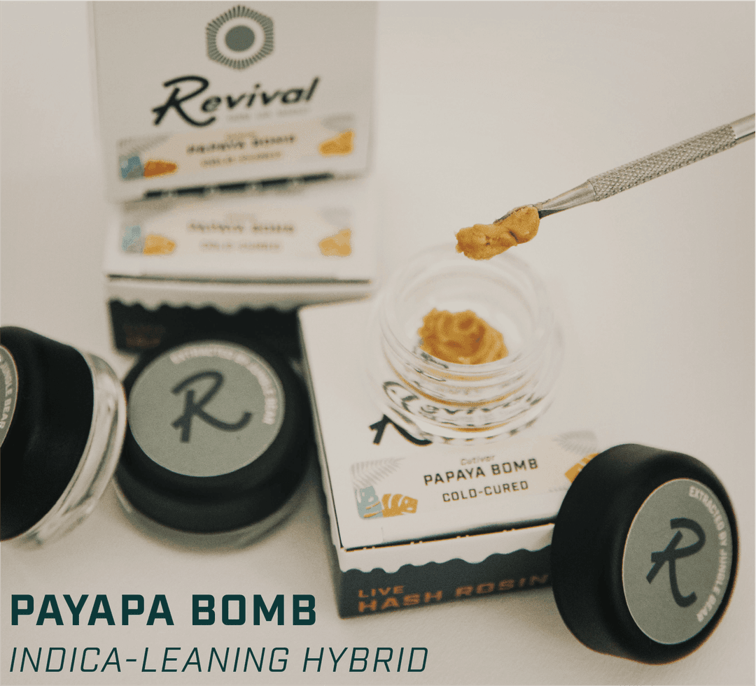 Papaya Bomb • Live Rosin Concentrate • 1g - Revival | Treehouse Cannabis