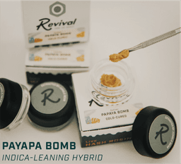 Papaya Bomb | Live Rosin Concentrate | 1g