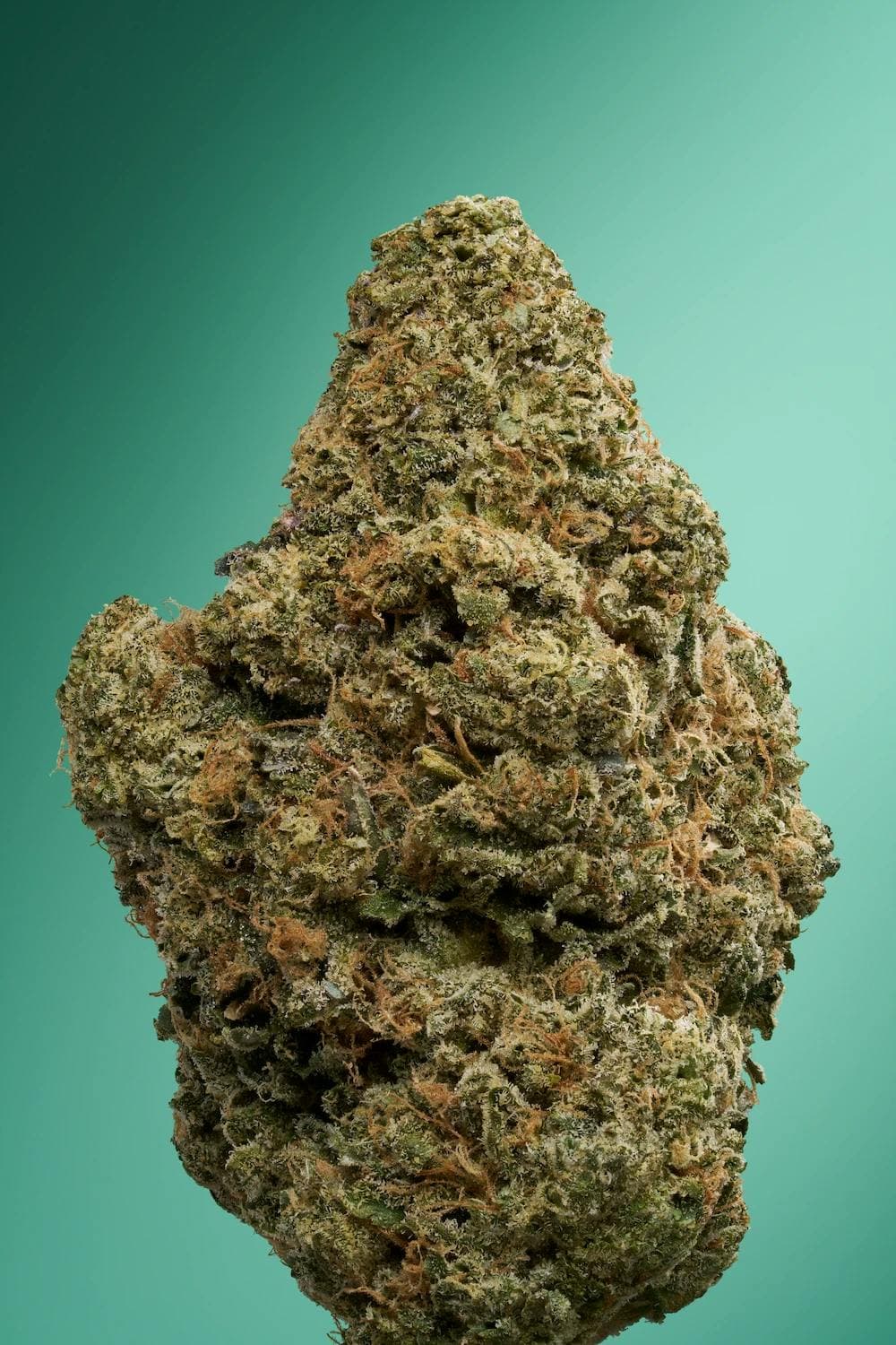 Tarts Flower 3.5g - Florette