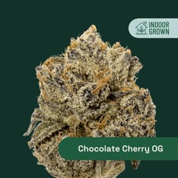 Chocolate Cherry OG | Flower | 3.5g