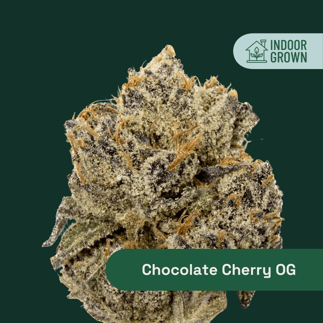 product image for Chocolate Cherry OG Flower 3.5g