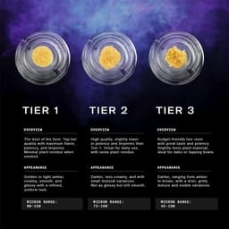 Gas Guzzler • Tier 1 Live Rosin Concentrate • 1g