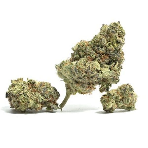 Sour OG • Flower • 3.5g - Out East Canna | Treehouse Cannabis