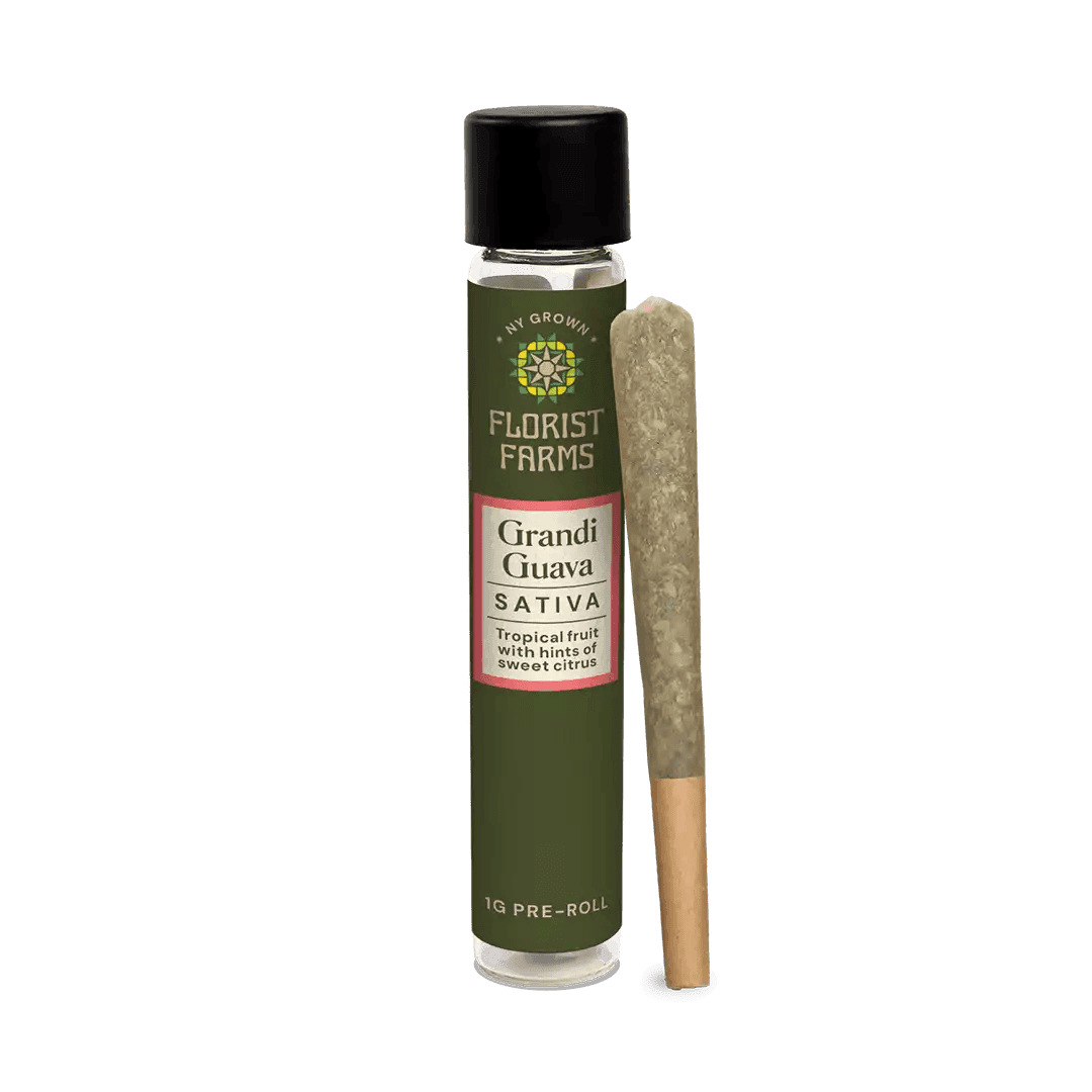 Grandi Guava •  Pre-Roll • 1g - Florist Farms | Treehouse Cannabis