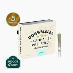 Animal Scout Infused Pre Rolls • 5 Pack • 2.25g