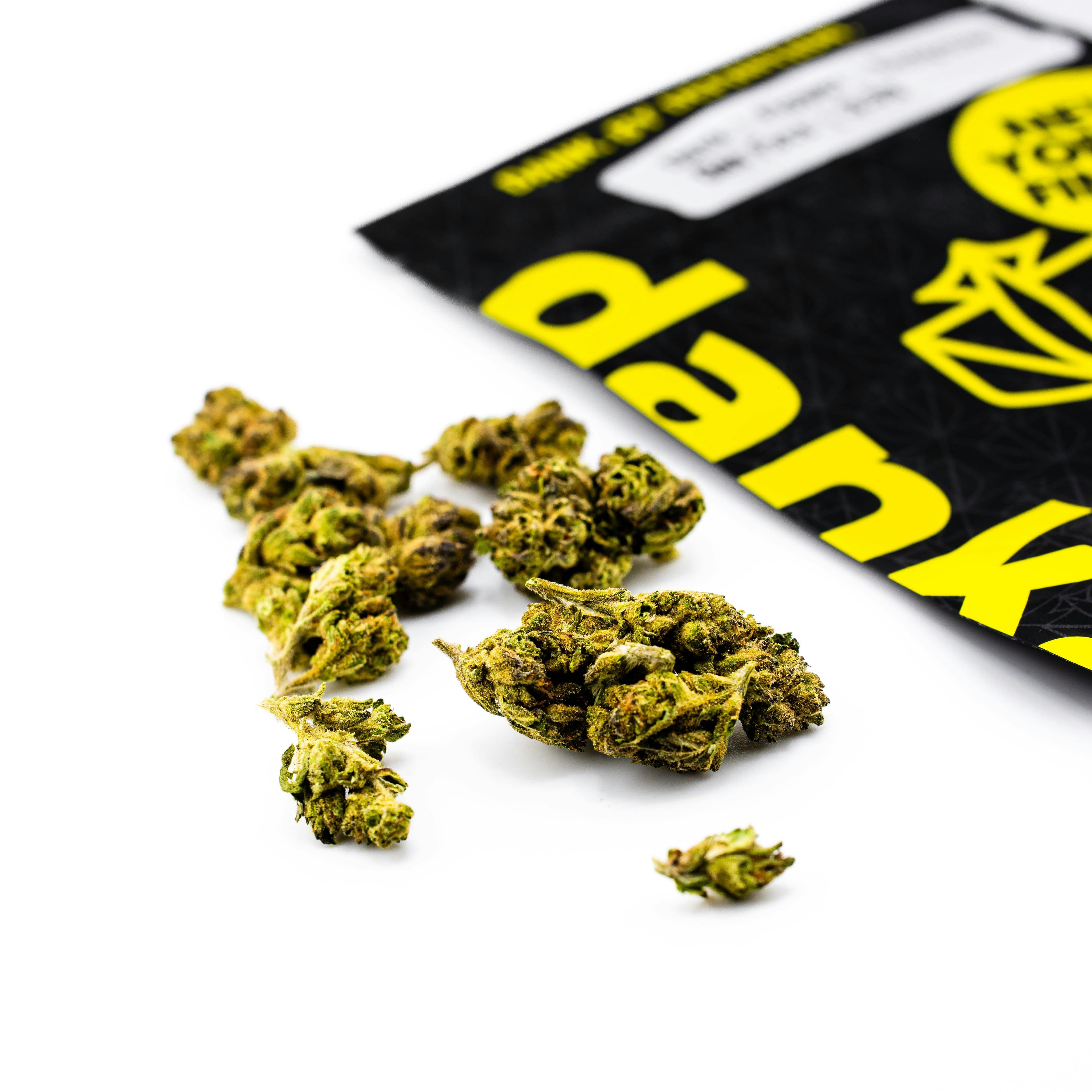 GAS FACE - Dank By Definition.