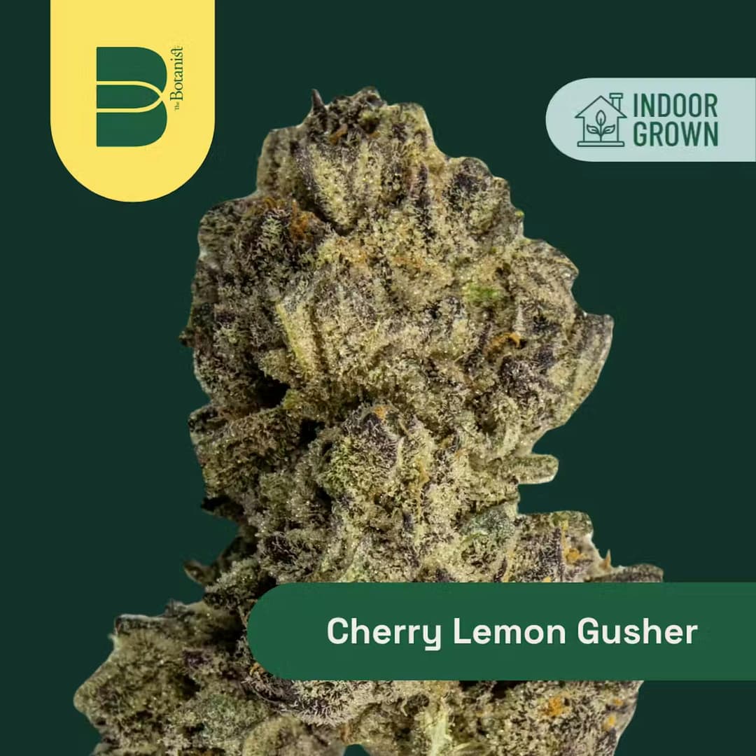 Cherry Lemon Gusher • Flower • 14g - The Botanist | Treehouse Cannabis
