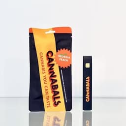 Georgia Peach | Disposable | 1g