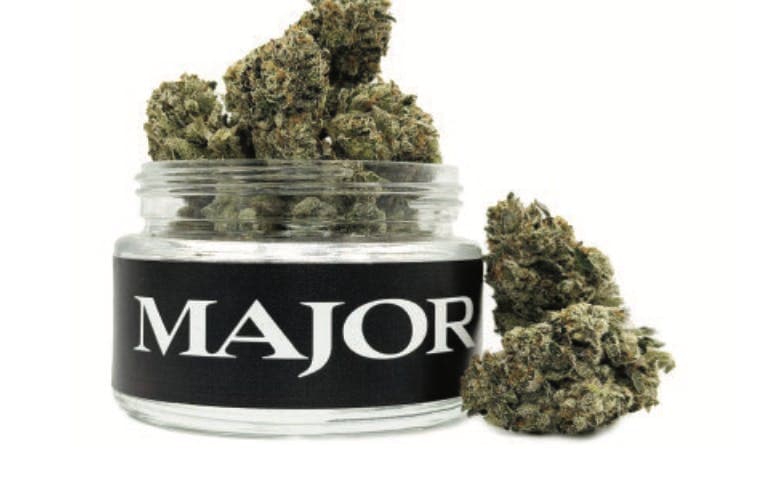 Airheadz • Flower • 3.5g - Major | Treehouse Cannabis