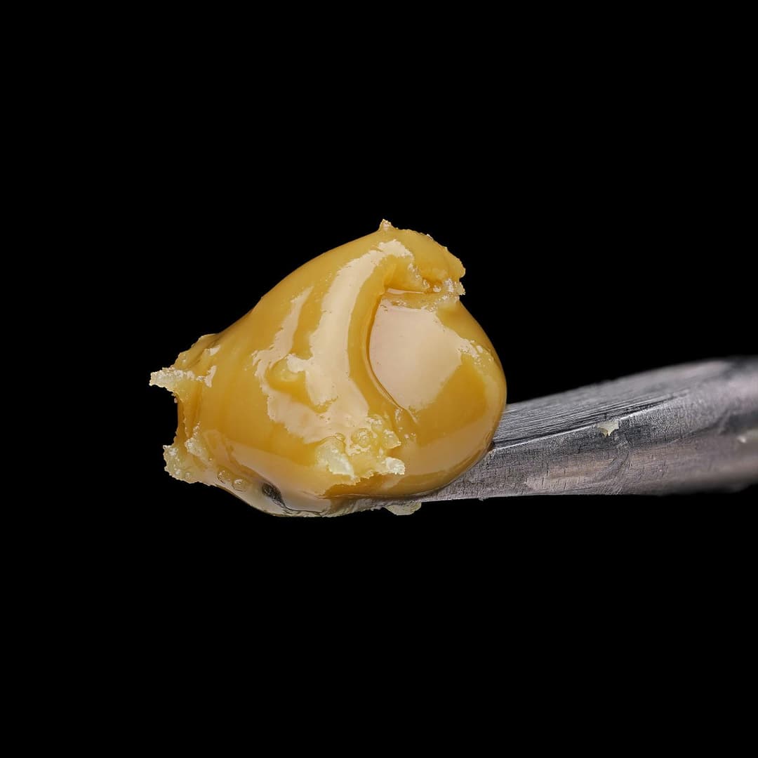 Papaya Lumina • Live Rosin Concentrate • 1g - Jaunty | Treehouse Cannabis