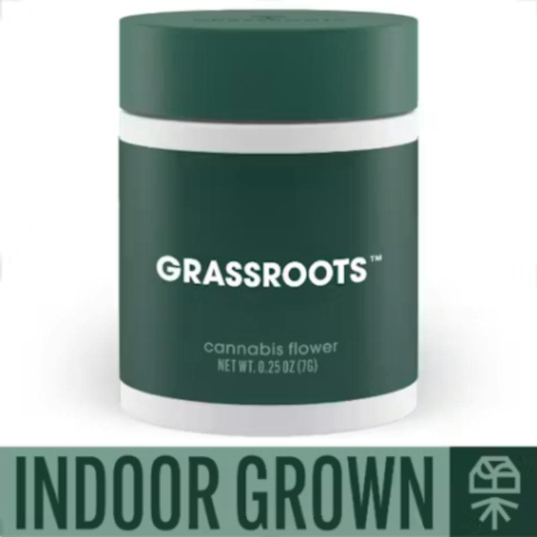 Apple Runtz Small Buds 7g - Grassroots | Treehouse Cannabis