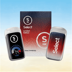 Apple Pie Limited edition Summer Series | Briq2 Disposable Vape | 2g