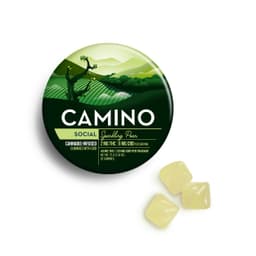 Sparkling Pear Gummies 20 pack • 100 mg