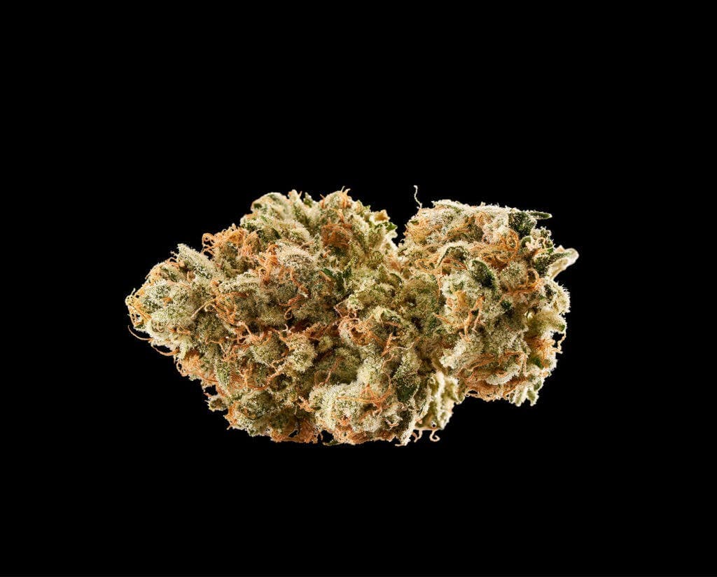 Jet Fuel OG • Flower • 3.5g - RYTHM | Treehouse Cannabis