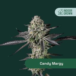 Candy Margy | Flower | 14g
