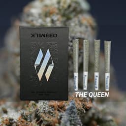 The Queen | 4pk Pre-rolls | 4g