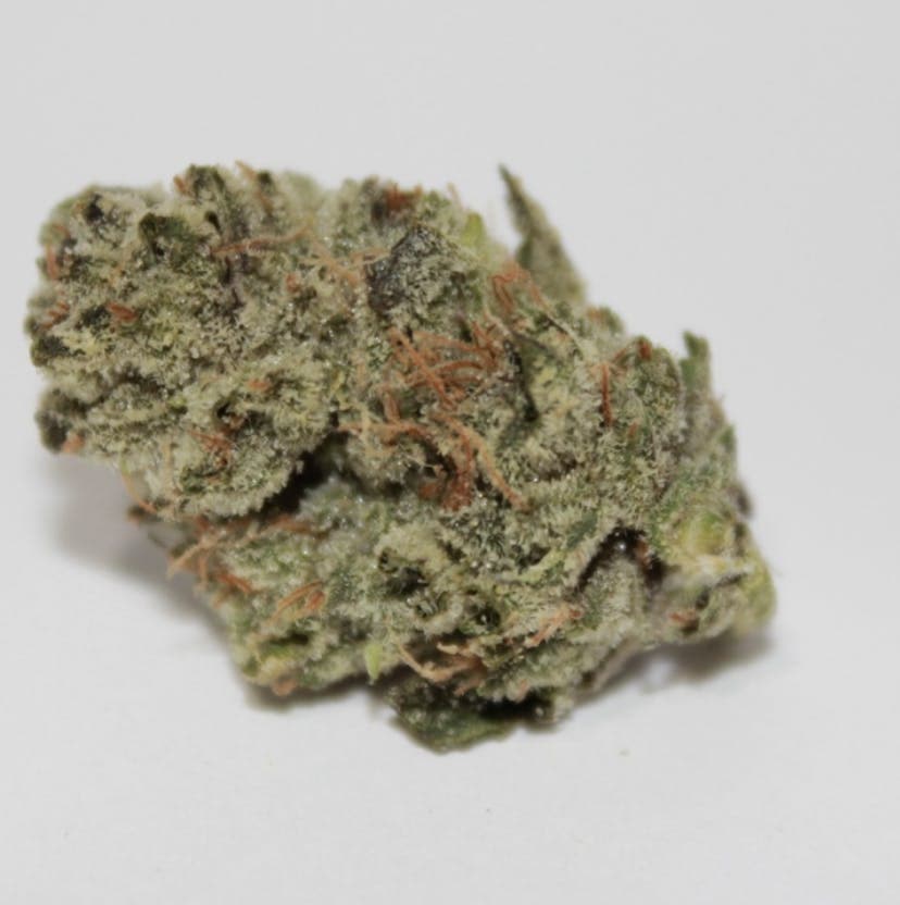product image for Specimen X Flower 3.5g