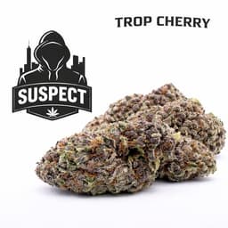 Trop Cherry | Flower | 14g