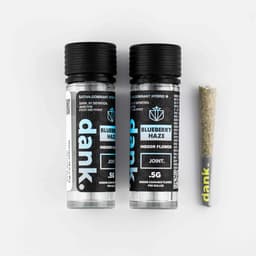 Blueberry Haze | Pre-roll • 0.5g