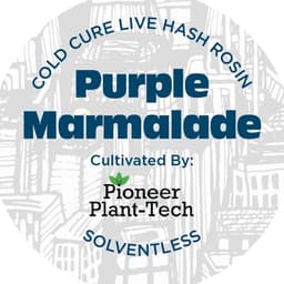 Purple Marmalade | Live Rosin Concentrate | 1g