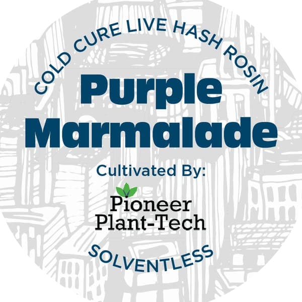 product image for Purple Marmalade Live Rosin Concentrate 1g