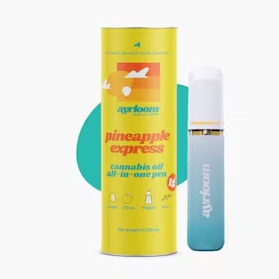 product image for Pineapple Express AIO Disposable 1g