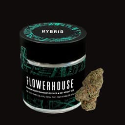 KY Jealousy | Flower | 3.5g