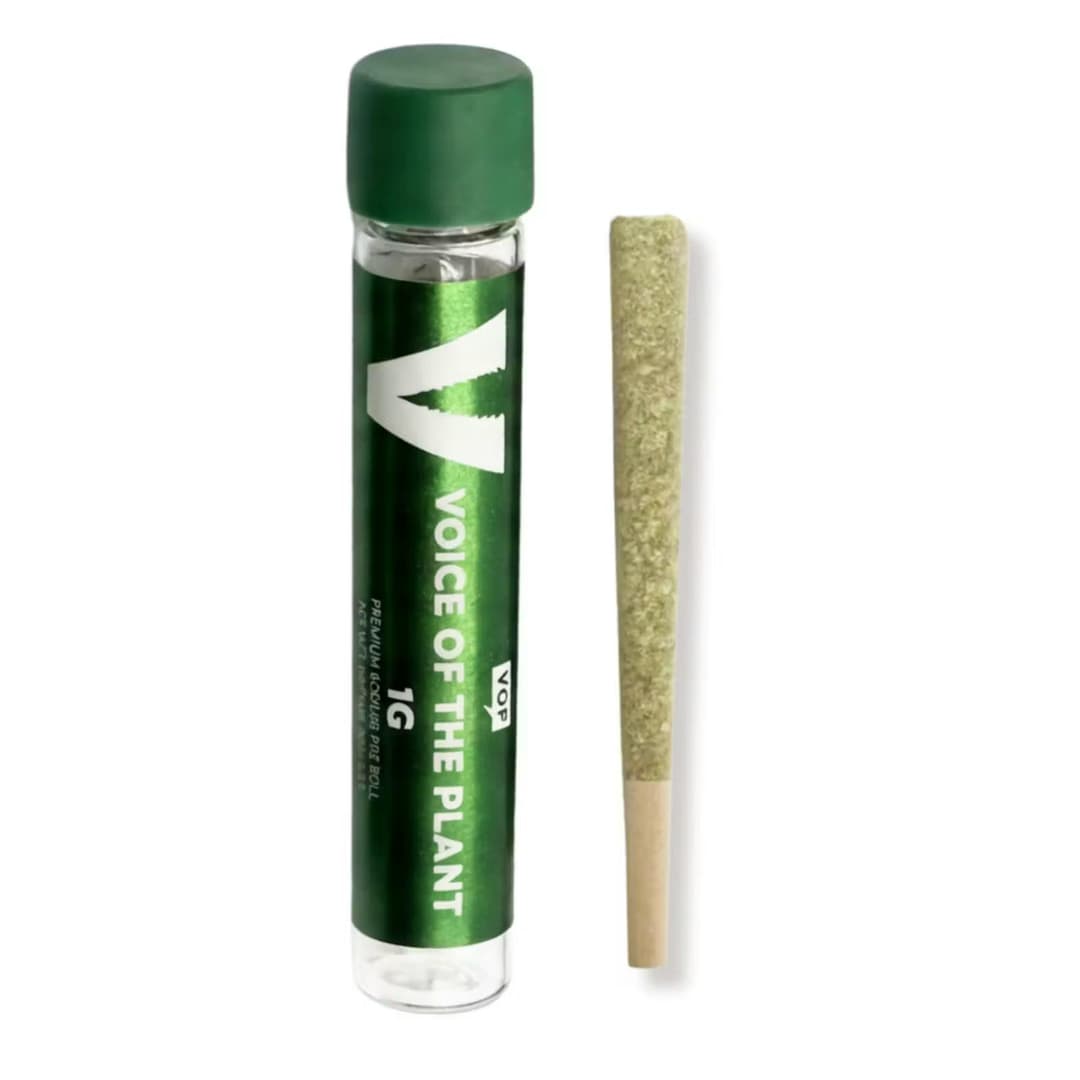 Gelato 41 • Pre-roll • 1g - VOP Voice Of The Plant | Treehouse Cannabis