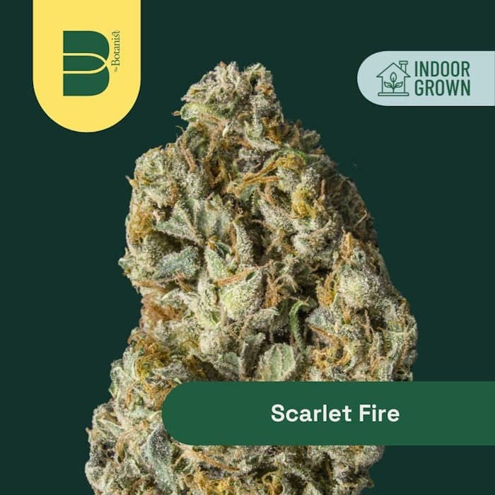 Scarlet Fire • Flower • 14g - The Botanist | Treehouse Cannabis