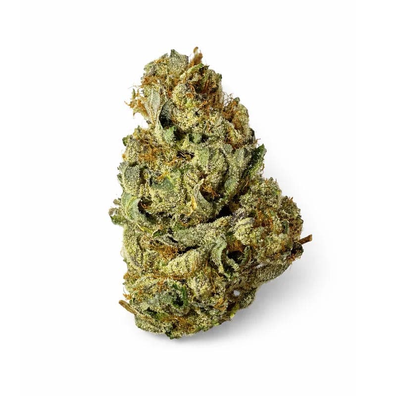 Rainbow Gelato • Flower • 3.5G - SP FARMS | Treehouse Cannabis