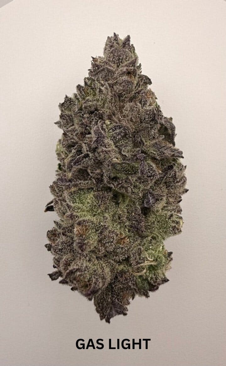 Gas Light • Flower • 3.5g - Battenkill Buds | Treehouse Cannabis