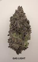 Gas Light | Flower | 3.5g