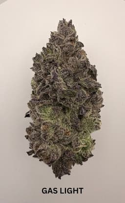 Gas Light | Flower | 3.5g