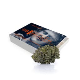 Gorilla Glue #4 | 5 pack Pre-rolls | 2.5g