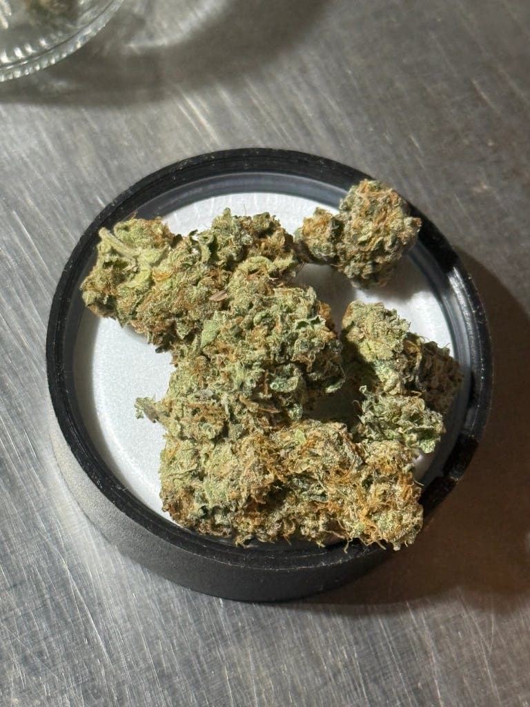 NYC Haze - FELA'S