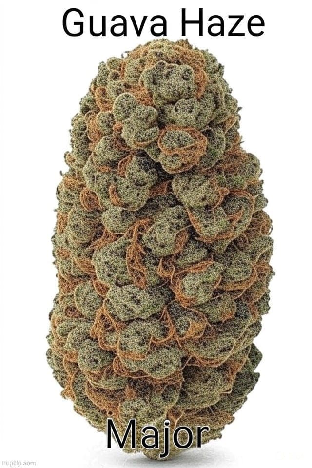 Guava Haze • Flower • 3.5g -  | Treehouse Cannabis