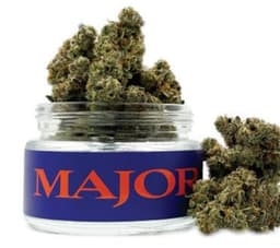 The Rotten Apple | Flower | 3.5g