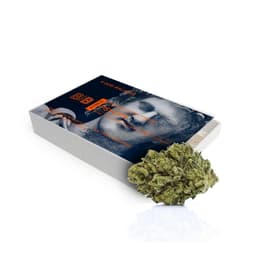 Psyops | 5 pack Pre-rolls | 2.5g